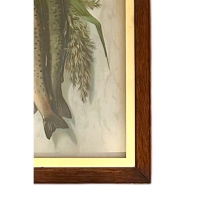Antique Late 19th Century British School Trompe L’Oeil Embossed Hunt Trophy / Hunting / Fishing / Fish Chromolithographs Prints, a Pair For Sale - Image 4 of 6