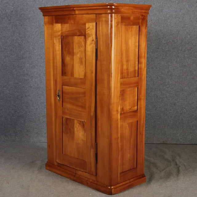 Brown Biedermeier Cabinet in Cherrywood, 1830s For Sale - Image 8 of 18