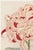 Originally created as Plate 13 from Keika Hyakugiku (One Hundred Chrysanthemums) in 1893, this elegant botanical...