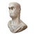 Grand Tour Marble Roman Emperor Augustus Bust C1850 For Sale - Image 6 of 11