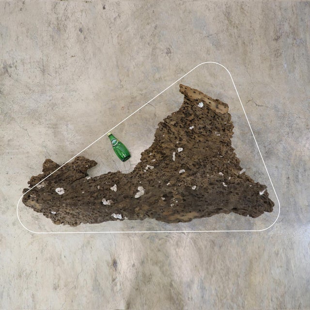 1960s 1960s Unique Organic Wood Base Coffee Center Table For Sale - Image 5 of 5