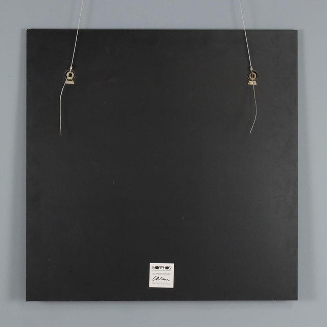 Decorative Mirror by Eugenio Carmi For Sale - Image 11 of 13