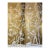 2-Piece Gold Chinoiserie Bird Mural for Bedroom or Entryway For Sale