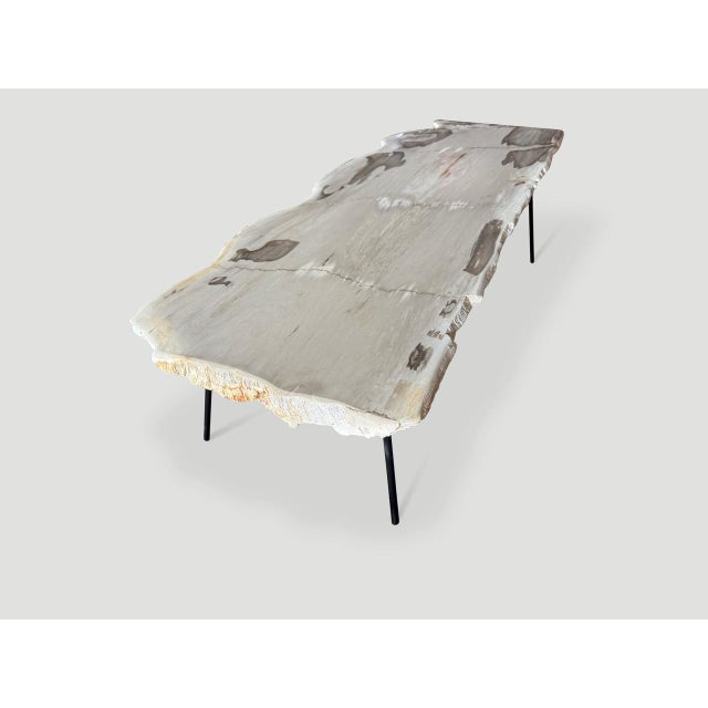 Andrianna Shamaris Minimalist Live Edge Petrified Wood Coffee Table For Sale - Image 13 of 18