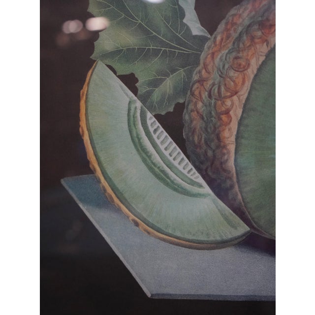Pair of Fruit Prints by George Brookshaw For Sale - Image 12 of 15