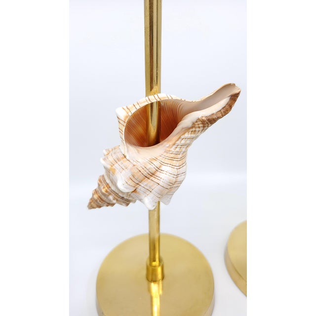 Brass Candlesticks Shells Seashells For Sale - Image 10 of 15