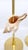 Brass Candlesticks Shells Seashells For Sale - Image 10 of 15