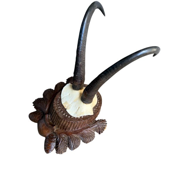 Cabin Chamois Trophy 223 Black Forest Horns Mount For Sale - Image 3 of 5