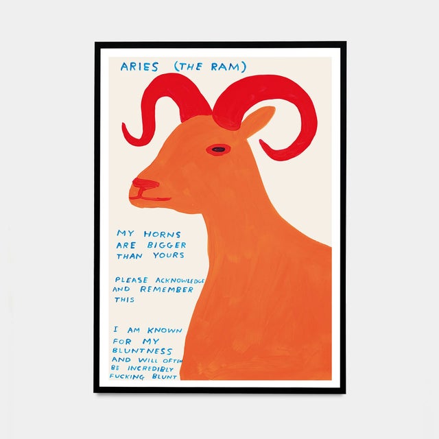 David Shrigley Signs of the Zodiac Poster (Individual) - a Set of 12 Pieces Accompanied by a Certificate of Authenticity...