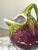 1970s French Ceramic Aubergine Pitcher For Sale - Image 9 of 9