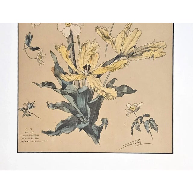 Large C1880 French Antique Botanical Chromolithograph-Tulip, Daffodils by H Lambert, Signed, Matted For Sale - Image 4 of 4