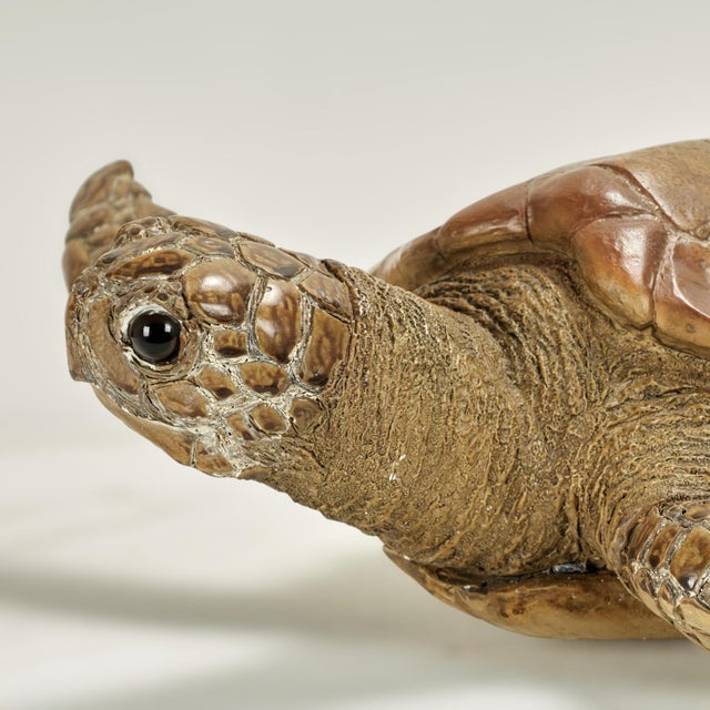 Vintage Turtle Sculpture or Figure For Sale - Image 11 of 13