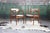 Set of Six Mid-Century Modern Teak Dining Chairs by Benny Linden for Benny Linden Designs This elegant set of six Mid-...