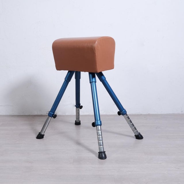 Vintage Height-Adjustable Leather Gym Stand, 1980s For Sale - Image 3 of 18