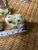 Up for consideration is a beautiful set of ceramic painted frogs. These would look lovely in your home and they are a...