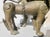 Antique 18th-19th Century Nepali Bronze Temple Lions - A Pair of 2 For Sale - Image 13 of 16