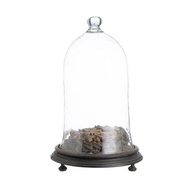 Glass Dome, 19th Century For Sale - Image 6 of 6