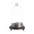 Glass Dome, 19th Century For Sale - Image 6 of 6