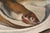 1940s Edouard Arthur, Freshwater Fish on a White Plate, Oil on Canvas For Sale - Image 5 of 11