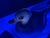 Mid-Century Murano Glass Ducks by Gino Mazzuccato - Uv Uranium & Cadmium Glow - Pair For Sale - Image 16 of 18