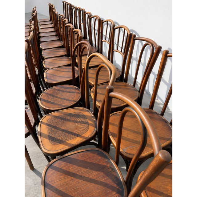 1940s French Wood Bistro Chairs in the style of Thonet, France, 1940, Set of 60 For Sale - Image 5 of 13