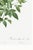 Cherokee Rose, Vintage Botanical Art Print Reproduction by Pierre-Joseph Redouté, 16" X 24" For Sale - Image 11 of 11