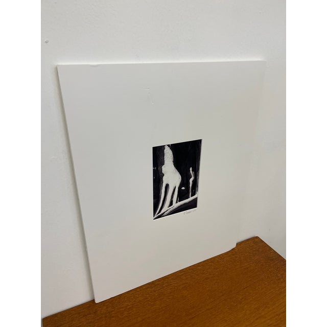 Figurative Signed Black and White Photograph "Howling Wolfe" Snow Tree Stump Illusion, North Bend Wa, Dated 2003. For Sale - Image 3 of 10