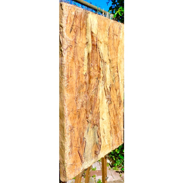 Natural Eucalyptus For Sale - Image 4 of 4