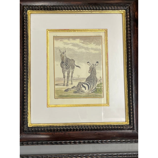 1990s Vintage Set 4 African Animal Engravings Custom Framed For Sale - Image 5 of 12