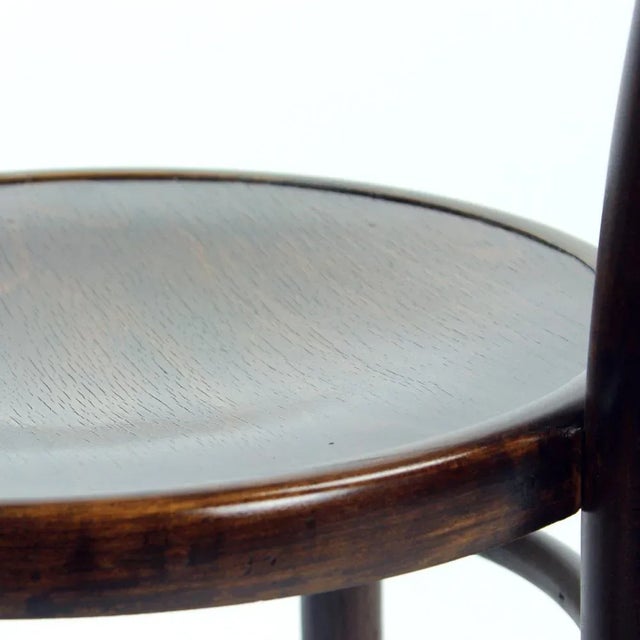 Vintage Bentwood Design Chair from Tatra, Czechoslovakia, 1950s For Sale - Image 6 of 14