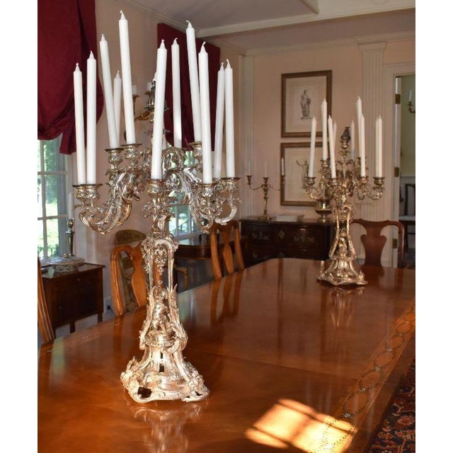 Traditional Pair of Grand 12 Arm Candelabras For Sale - Image 3 of 5