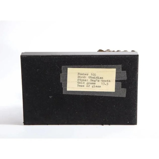 Late 20th Century 14k Gold Mounted Obsidian Bird on Dog's Tooth Stone, Mounted on Black Glass For Sale - Image 10 of 11