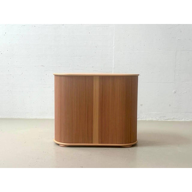 B Roller Shutter Cabinet by Trix and Robert Haussmann for Röthlisberger, 1977 For Sale - Image 18 of 18