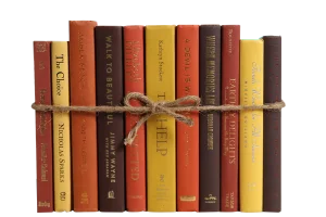 Decorative Books - Harvest Book Bundle - 1 Foot of Orange Books