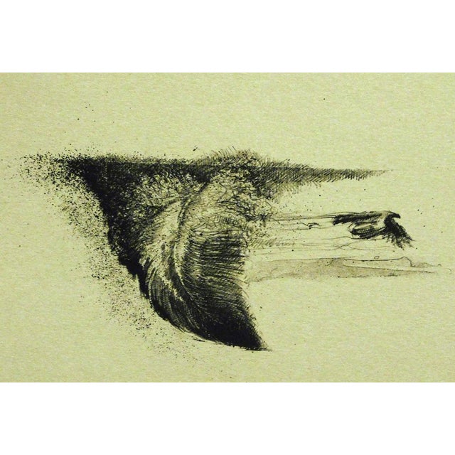 Larry Fodor "Feather Flight" Original Color Lithograph Hand Signed For Sale - Image 4 of 4