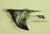 Larry Fodor "Feather Flight" Original Color Lithograph Hand Signed For Sale - Image 4 of 4