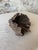 A truly one-of-a-kind natural sculptural object, this striking “tree flower” is formed from weathered wood with a dramatic...