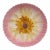 French Majolica Pink Daisy Plate Orchies, Circa 1890 For Sale