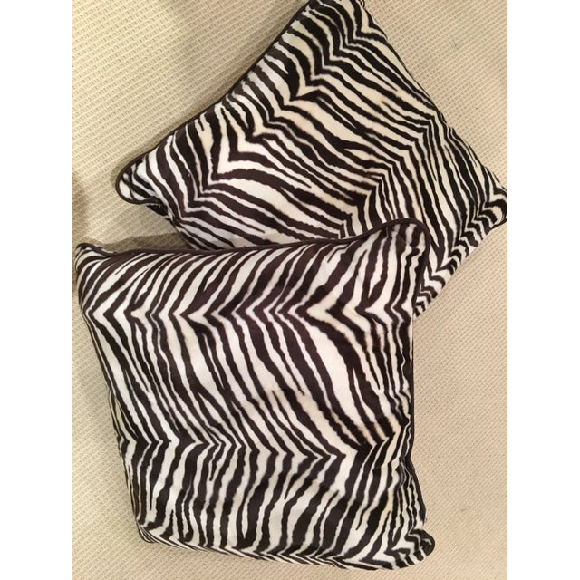 Luxurious faux Zebra print, soft, and fuzzy. Pillows, valances and drapes available. Poly-fil