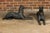 Black J.W Fiske Iron Greyhound Dog Sculptures, Late 19th Century New York, a Pair For Sale - Image 8 of 12