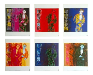 Andy Warhol Estate Vintage 1990 " James Dean " Portfolio Collector's Pop Art Lithograph Prints - Set of 6