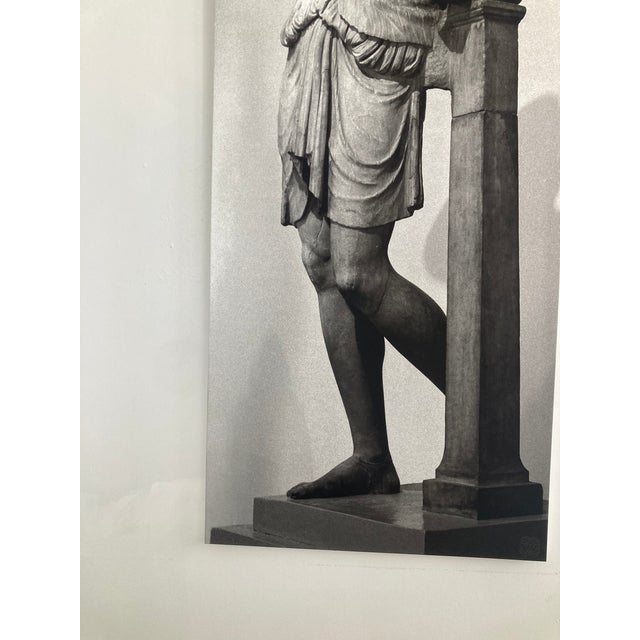 Textile William Gray Harris Photograph on Canvas “Wounded Amazon” For Sale - Image 7 of 8