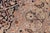 1990s Boho Chic Floral Pak-Persian Black/Taupe Wool Rug - 9'1'' X 12'0'' For Sale - Image 5 of 9