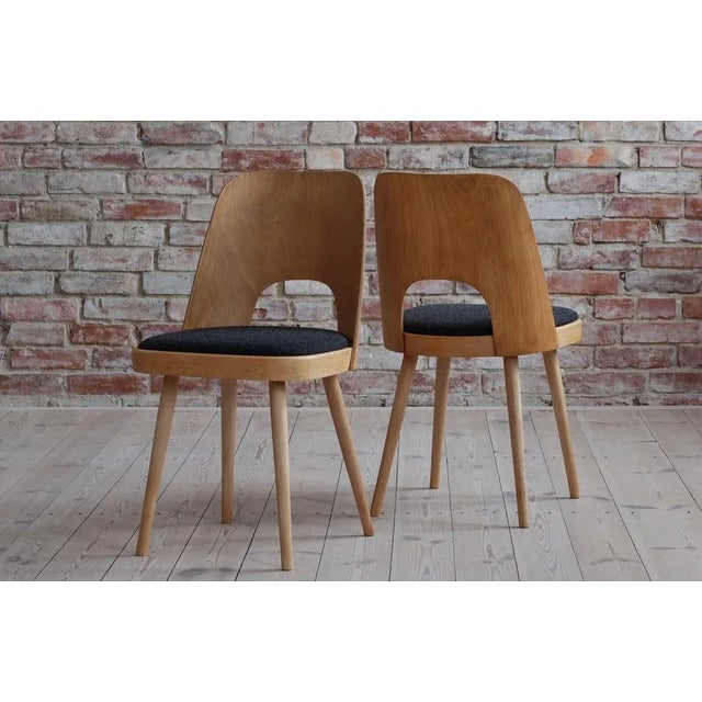 Dining Chairs by Oswald Haerdtl, 1950s, Set of 6 For Sale - Image 6 of 18