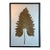 Late 20th Century Large-Scale Pressed Botanical Specimen, Framed — Approx. 48 × 72 Inches For Sale