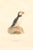 Early 20th Century Swedish Framed Puffin Lithograph, C. 1920 For Sale In Atlanta - Image 6 of 11