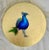 Anastasia Gklava, Peacock, Oil Painting with Gold Leaf on Circular Canvas, 2025 For Sale - Image 14 of 14
