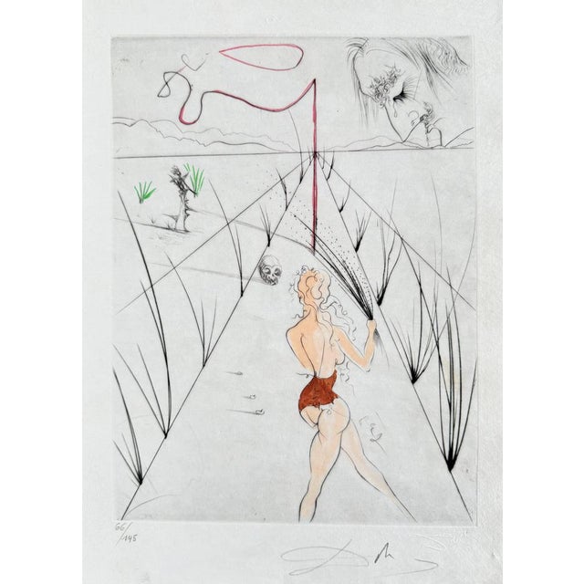 Salvador Dali, La Femme au fouet, 1969, Etching For Sale - Image 7 of 7