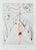 Salvador Dali, La Femme au fouet, 1969, Etching For Sale - Image 7 of 7