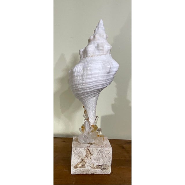 Handcrafted Marine & Mineral Sculpture by Joseph Malekan For Sale - Image 11 of 15